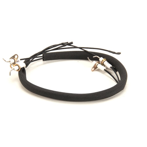 Harness, Cafe 3 Grid Electrode